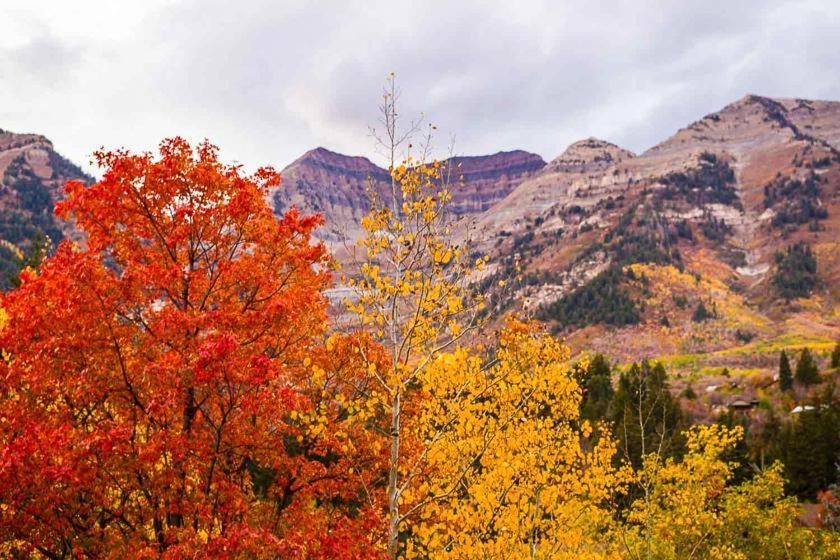 Villa Hideaway Above The Stream Sundance, Utah Esterno foto